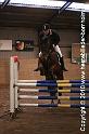 U-LB - Hest